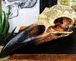Ebros Pentagram Omega Alchemy Raven Crow Skull Figurine with Carved Rune... - £21.57 GBP