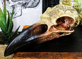 Ebros Pentagram Omega Alchemy Raven Crow Skull Figurine with Carved Rune Symbols - £21.32 GBP