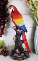 Ebros Tropical Rainforest Red Scarlet Macaw Parrot Perching On Branch Statue - £25.83 GBP