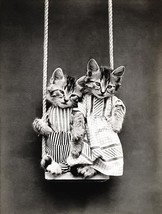 Swinging - Cats - Kittens - 1914 - Animal Photo Magnet - £9.58 GBP