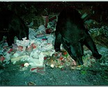 Bears On Trash Pile Upper Peninsula MI Michigan 1958 Chrome Postcard A11 - $4.90