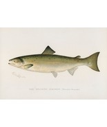 11783.Decor Poster.Room home Wall design art.Fish.Fishing... - $16.20+