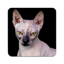 2 PCS Sphynx Cat Coasters - £13.50 GBP
