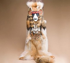 Cherokee Scout Spirit Mask 15&quot; X 62&quot; Coyote Fur Showpiece Creek Indian La Ne Ayo - £759.03 GBP