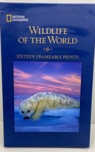 National Geographic Wildlife Of The World 16 Frameable Animals Prints Pictures - £14.99 GBP