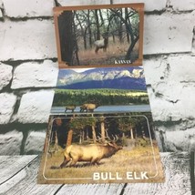 Collectible Elk Postcards Lot Of 3 Nature Wildlife Game Scenic Photos Tr... - $7.91