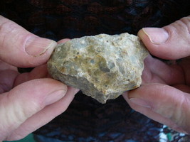 (DF834-6) 2 Oz Fossil Real Dinosaur Poop Coprolite Dino Utah Jurassic Dung Scat - £11.23 GBP