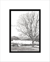 Bench at Boscobel, Hudson River, Limited Edition, Matted, Pen and Ink Print - £27.97 GBP