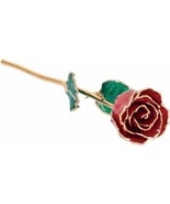 24k Gold Dipped Ruby Colored Lacquer Real Rose Valentine&#39;s Day Holiday Gift - $121.00