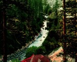 View From Scenic Railway Shasta Springs California CA UNP 1910s DB Postcard - $5.89
