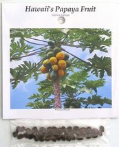 Hawaiian Papaya Fruit Seeds ~ Grow Hawaii (Pack of 10) by Kanoa Hawaii - $98.99