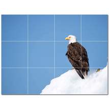 Bird Ceramic Tile Wall Mural Kitchen Backsplash Bathroom Shower P500147 - £95.70 GBP+