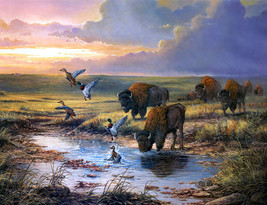 Art Wall art Western Buffalo oil painting HD Giclee printed on canvas - £6.86 GBP+