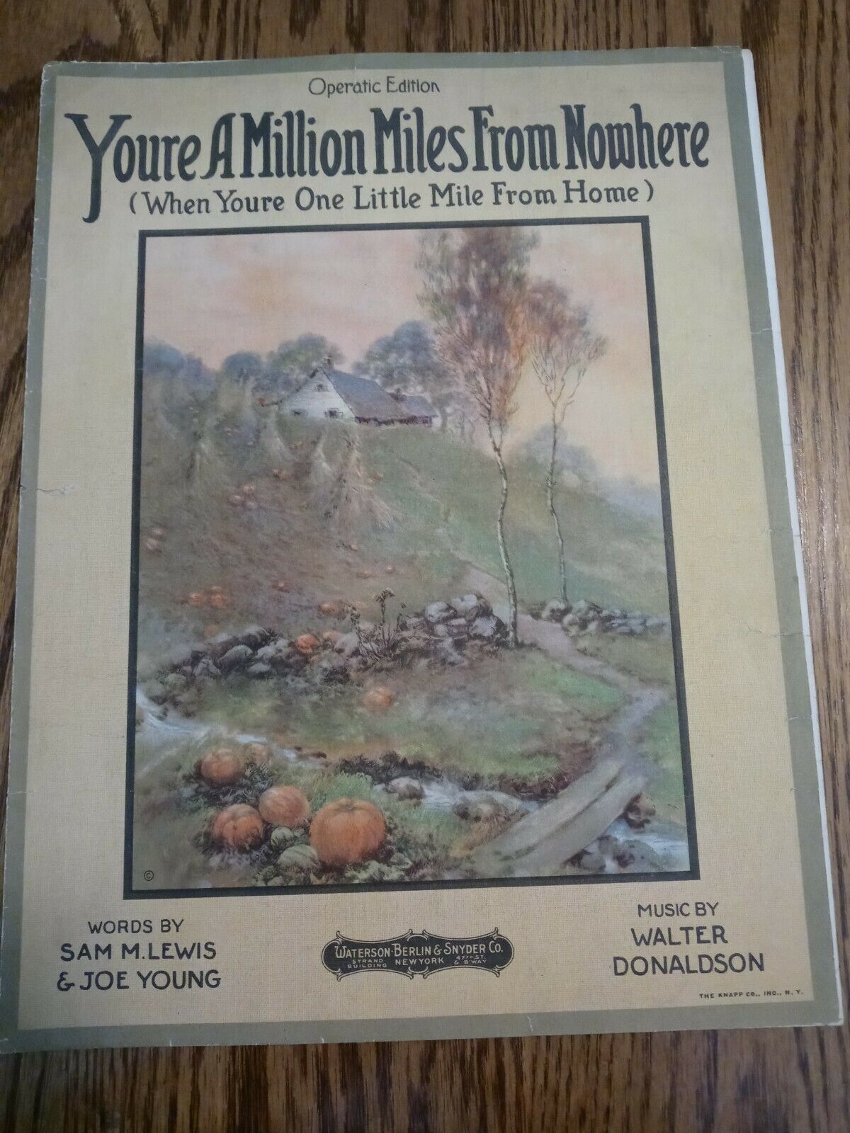 Full-size item image