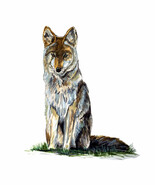 Coyote Fox Wolf Dog Wild Life Hunting Auto Boat Camp Vinyl Window Decal ... - €5,92 EUR+
