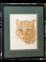 Koji Ikuta Original Modern Mixed Media Pen &amp; Ink Ocelot Painting Signed &amp; Framed - £1,122.56 GBP