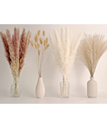 65PCS Pampas Grass Decor, Including Pompas Floral, Reed Dried Grass and ... - €16,13 EUR 65PCS Pampas Grass Decor, Including Pompas Floral, Reed Dried Grass and ... - €16,13 EUR