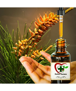 ORGANIC Pine Pollen Tincture Pure HerbaL Extract 100% Natural HERB NO FI... - £25.33 GBP+