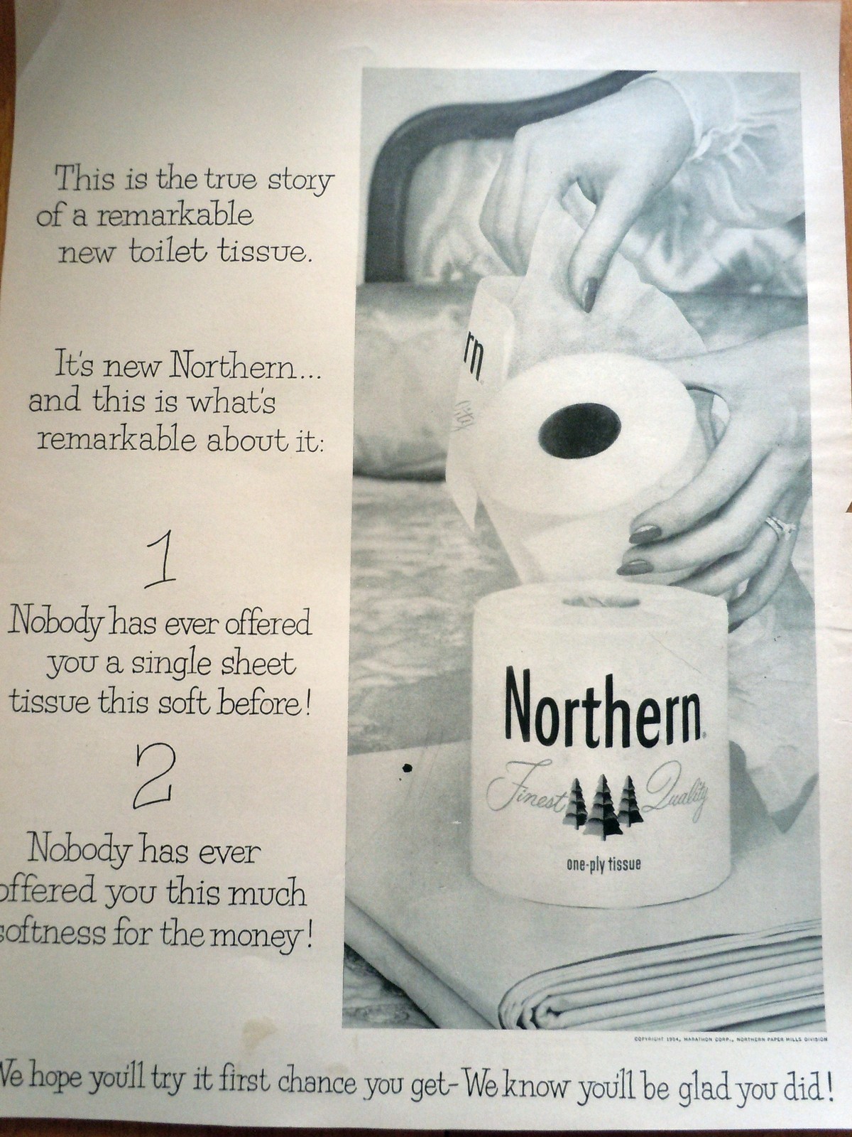 Northern The New Toilet Tissue Magazine Advertising Print Ad Art 1950s - $4.99