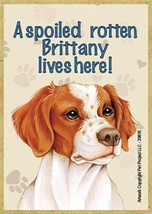 A spoiled rotten Brittany lives here Wood Fridge Locker Dog Magnet 2.5X3.5 NEW - £3.92 GBP