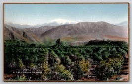 California Orange Grove CA Fred Martin Hand Colored Gilded Photo Postcard I30 - £7.93 GBP
