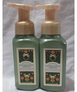 Bath &amp; Body Works Gentle &amp; Clean Hand Soap Set Lot 2 WINTER CITRUS WREATH - $28.99