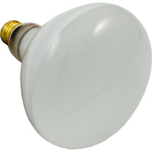 Feit 500-Watt Incandescent R40 Pool &amp; Spa Light Bulb Replaces Pentair 79... - $47.90