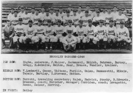 1946 BROOKLYN DODGERS 8X10 TEAM PHOTO BASEBALL PICTURE MLB - £3.81 GBP