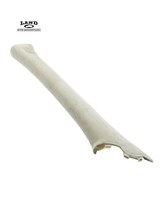 MERCEDES W221 S-CLASS FRONT DRIVER/LEFT A PILLAR POST TRIM COVER PANEL S... - $14.84