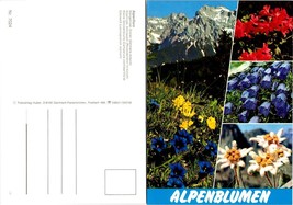 Alpine Flowers Gentiana Rhododendron Campanula Leontopodium Blue VTG Postcard - £7.39 GBP