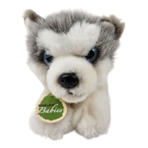 Aurora Babies Husky Plush Gray White Laying Dog Blue Plastic Eyes Stuffed Animal - $17.82