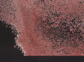 Yann ARTHUS-BERTRAND Pink Flamingos On Lake Nakuru, Kenya, 1999 - £47.34 GBP