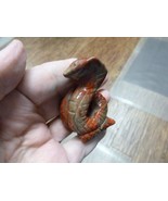 (Y-SNAK-CO-702) Red Jasper SNAKE COBRA snakes carving FIGURINE GEMSTONE ... - £13.78 GBP