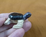 (Y-TUR-SET-65) little brown tan SEA TURTLE carving stone gemstone SOAPST... - £6.97 GBP