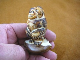 (tne-ape-go-223c) brown Gorilla monkey ape TAGUA NUT palm nuts figurine ... - £21.99 GBP