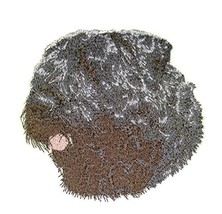 Amazing Dog Faces[Bouvier des Flanders] Embroidery Iron On/Sew Patch [4&quot;x 3.9&quot;][ - £9.29 GBP