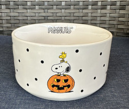 Peanuts Snoopy Pet Dog Food Dish Water Bowl 6” New Rae Dunn Halloween Pumpkin - £15.68 GBP