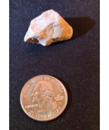 Hawaiian Lava Rock Volcanic Stone Natural Beach Collectible Souvenir Min... - $9.99