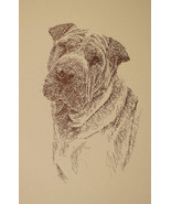 SHAR PEI DOG ART #34 Stephen Kline adds your dogs name free into print. ... - £39.70 GBP