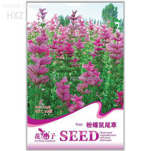 PWO Fresh Pink Butterfly Sage Flowers Seeds, Original Package, 50 Seeds, Strong  - £1.36 GBP