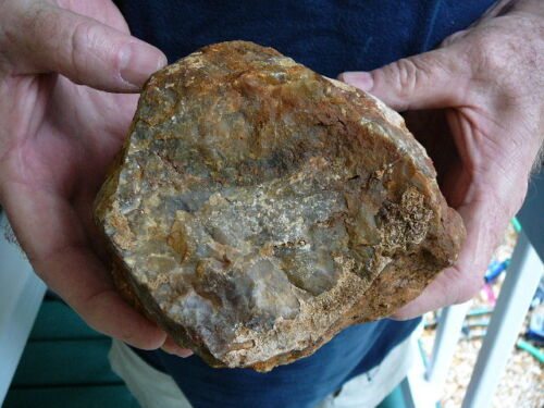 DF846-9) 6" Fossil Real Dinosaur Poop and 50 similar items