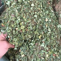 500g 100% Natural Gotu Kola, Centella asiatica, Dried Loose Herb Tea - $35.99