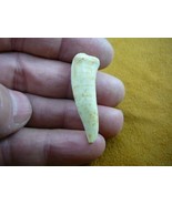 (f510-15) 1-1/8&quot; Enchodus Saber toothed Herring fish tooth Fossil I love... - $19.22 CAD