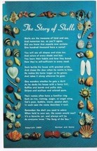 Hobby Postcard The Story Of The Shells - $2.96