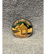NEW VFW 7293 Egypt Pennsylvania Pin KG JD Veterans Foreign Wars Camel Py... - $11.88