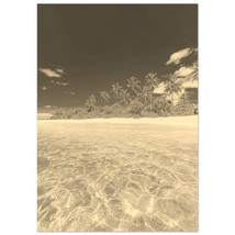 Vintage Bora Bora Poster | Retro Bora Bora Coast Sepia Print | Bora Bora Palm Tr - $19.99