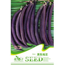 Dark Bush Bean Royal Burgundy Phaseolus Vulgaris 15 Seeds Pack Gardening USA SEL - $11.98