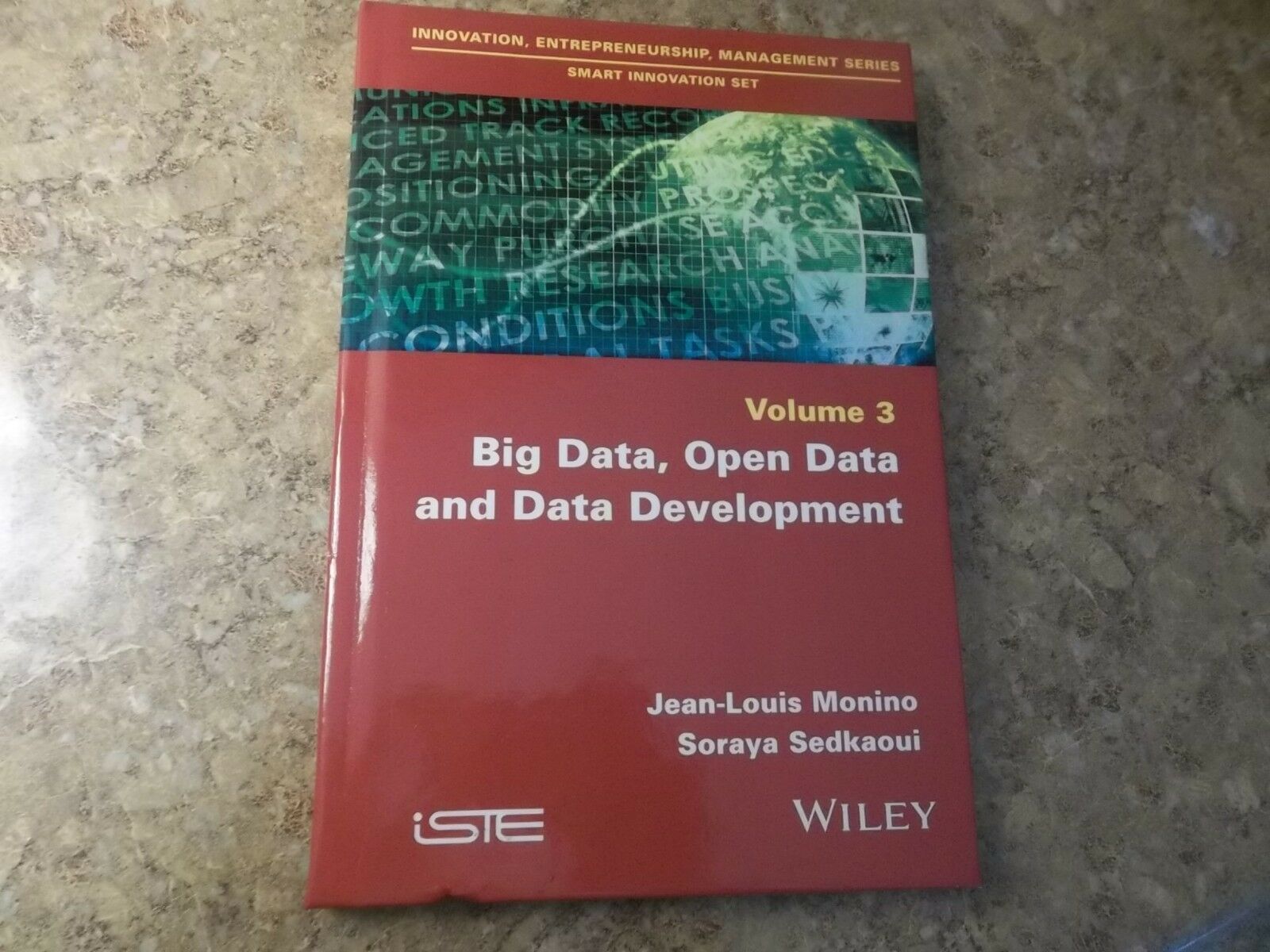 Big Data, Open Data and Data Development by Soraya Sedkaoui, Alain Lozzi... - $59.39