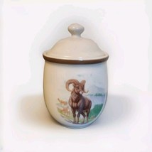 National Wildlife Federation Canister With Lid Buck Deer Ram - £15.27 GBP