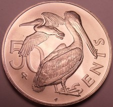 Rare Gem Unc British Virgin Islands 1973 50 Cents~20,000 Minted~Brown Pelican~FS - £8.21 GBP